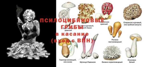соль ск Нефтегорск